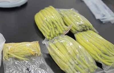 饭堂承包公司s15竞猜官网膳食告诉您：黄花菜的正确食用方法及储存方法
