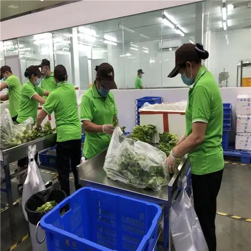 机关单位找食堂配送食材需要注意哪些事项？