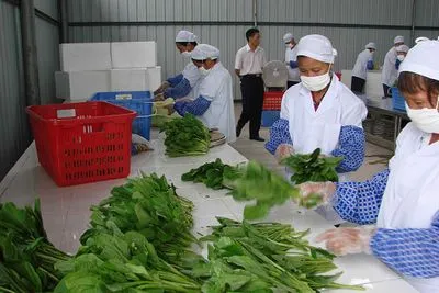 食堂承包公司告诉大家三伏天注意事项有哪些？